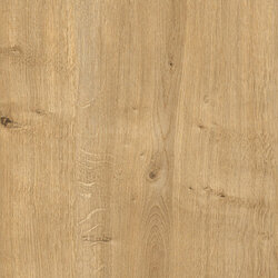 HD244303 oak natural engraved 22x1