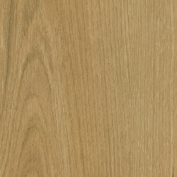 W240 - Coast Evoke Oak