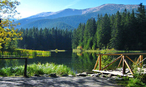 ROZPRÁVKA (TAKMER) VIANOČNÁ