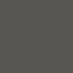 CR2109 Titanio matt