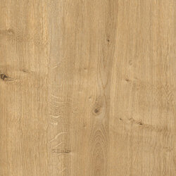 HD244303 Eiche Natur graviert 22 x 0,5