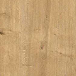 HD244303 oak natural engraved 22x2