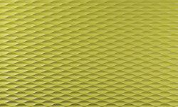 Panel P1