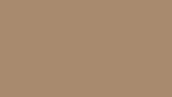 HU12250 XN Caramel Beige 22x1